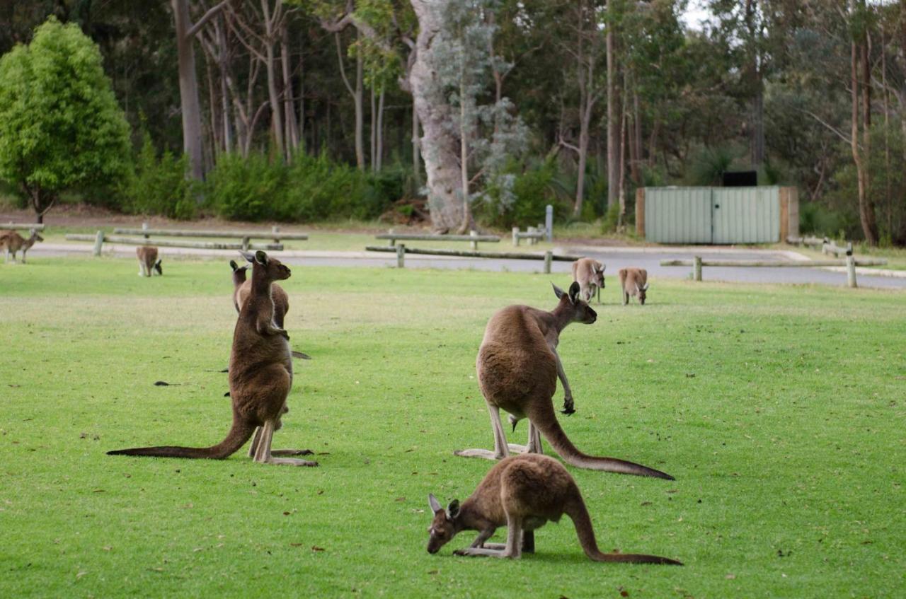 Yanchep Seaside Cottage Bagian luar foto